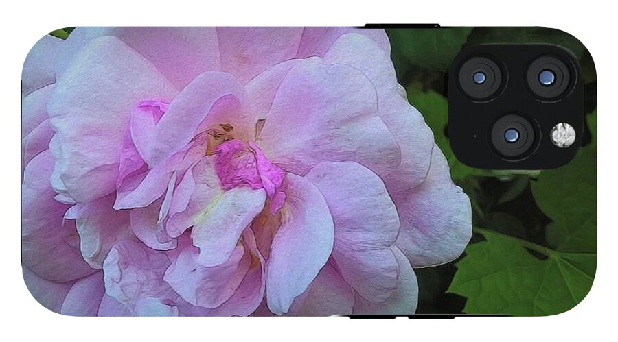 Wild Random Pink Rose - Phone Case