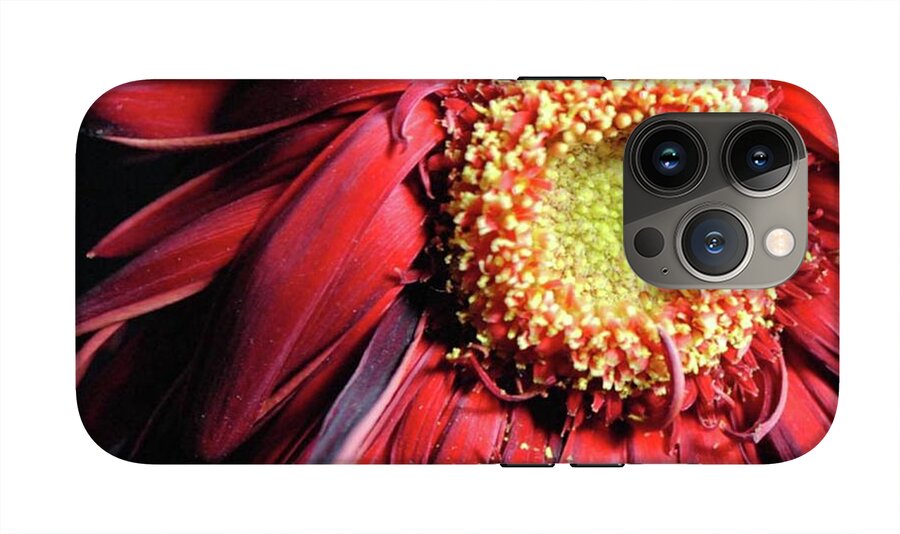 Wilting Red Daisy - Phone Case