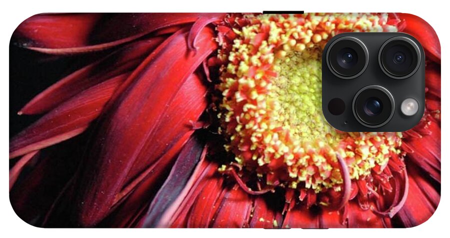 Wilting Red Daisy - Phone Case