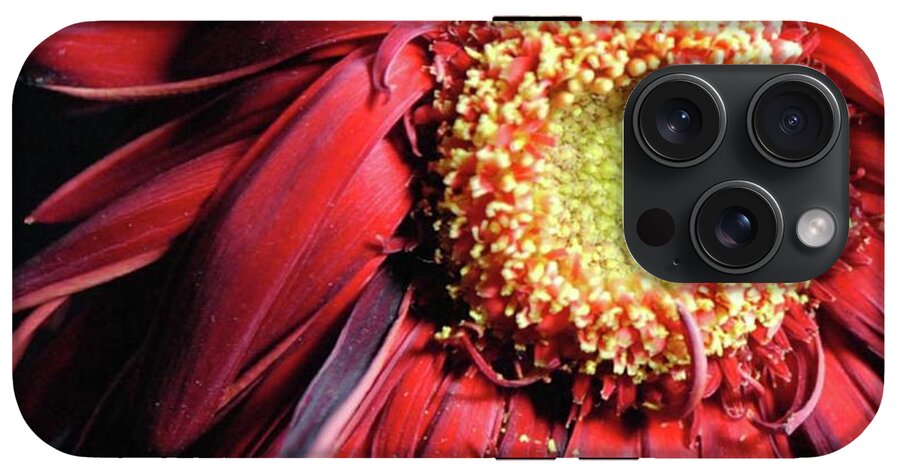 Wilting Red Daisy - Phone Case