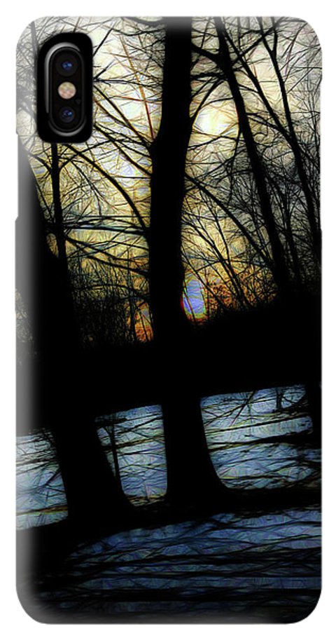 Winter Twilight Teases the Woods - Phone Case