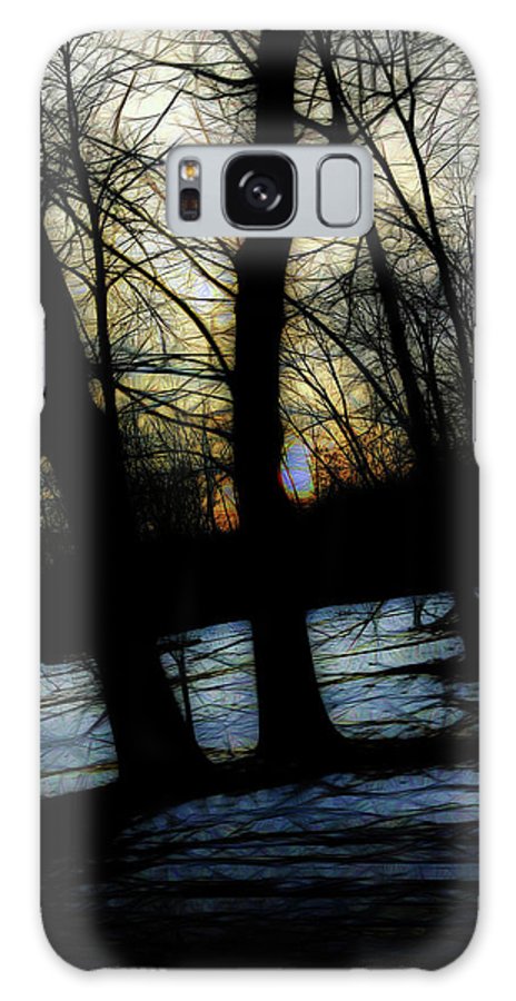 Winter Twilight Teases the Woods - Phone Case