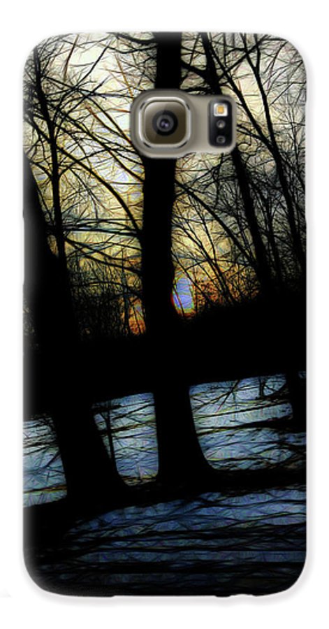 Winter Twilight Teases the Woods - Phone Case