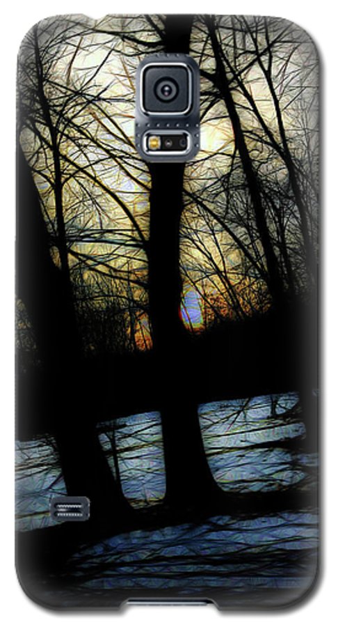 Winter Twilight Teases the Woods - Phone Case