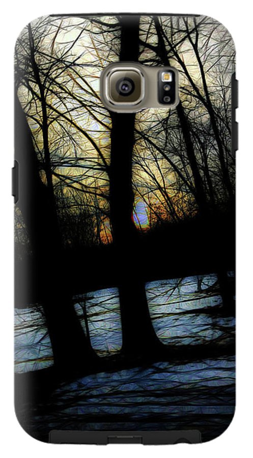 Winter Twilight Teases the Woods - Phone Case