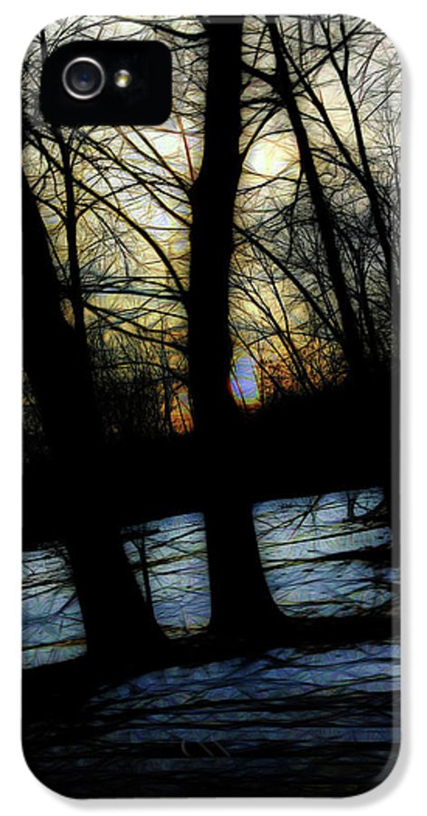 Winter Twilight Teases the Woods - Phone Case