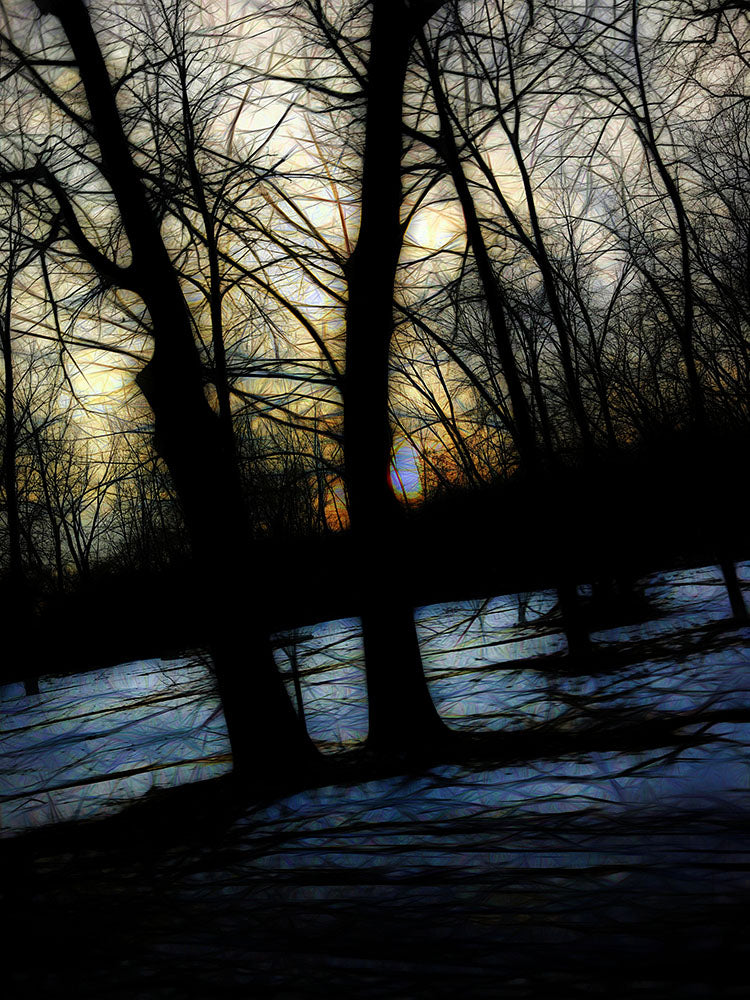 Winter Twilight Teases The Woods Digital Image Download