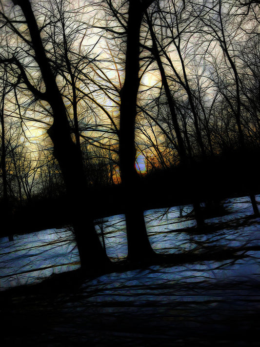 Winter Twilight Teases The Woods Digital Image Download
