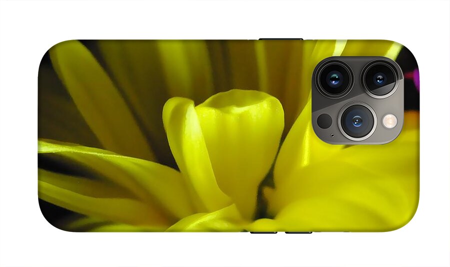 Yellow Daisy All Wild In The Morning - Phone Case