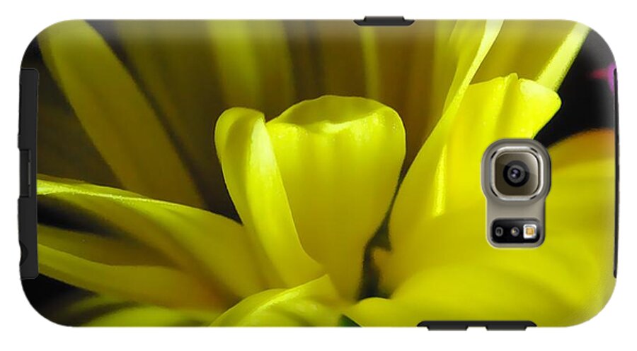Yellow Daisy All Wild In The Morning - Phone Case