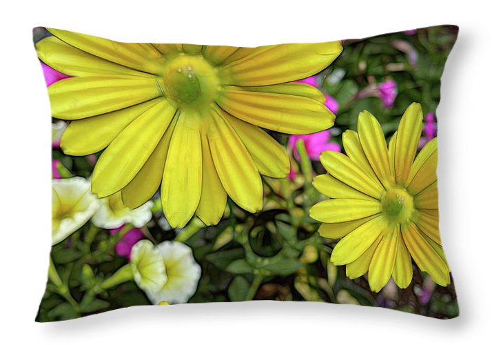 Yellow Daisy Garden - Throw Pillow