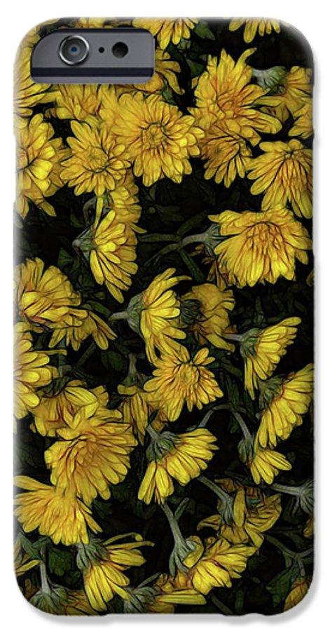 Yellow Mums Walk - Phone Case