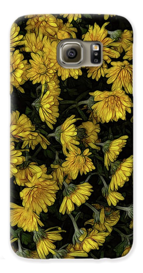 Yellow Mums Walk - Phone Case