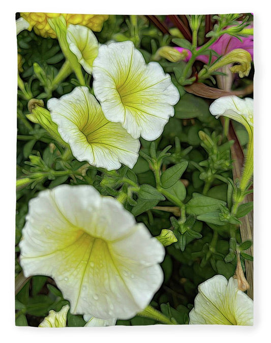 Yellow Petunias - Blanket