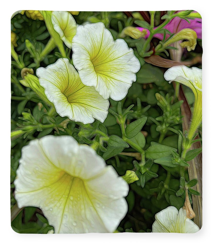 Yellow Petunias - Blanket
