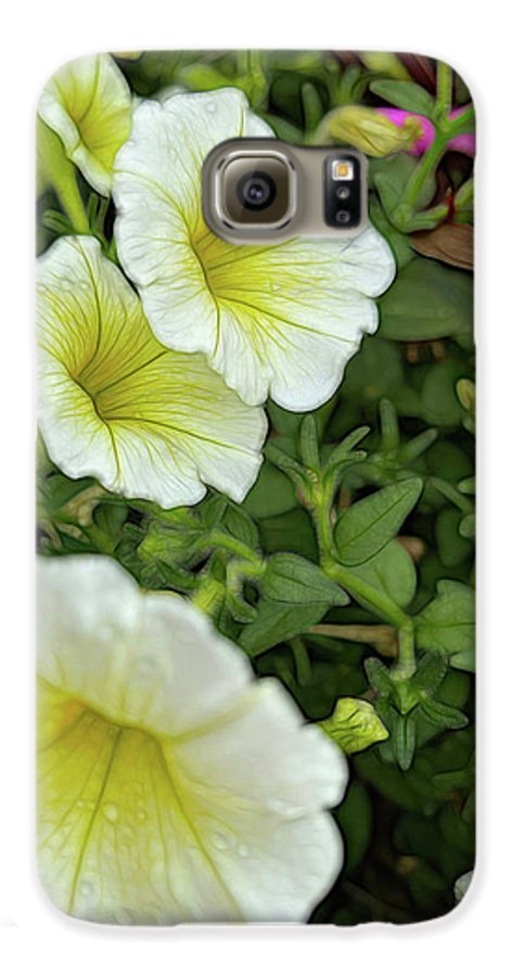 Yellow Petunias - Phone Case