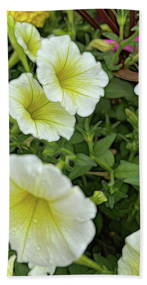 Yellow Petunias - Beach Towel