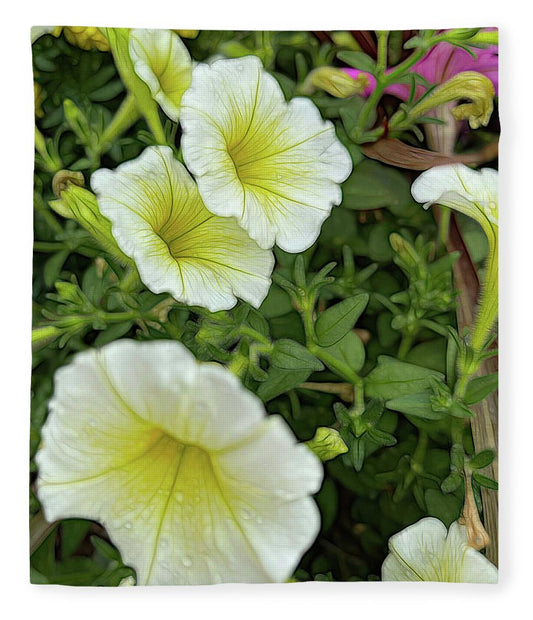 Yellow Petunias - Blanket