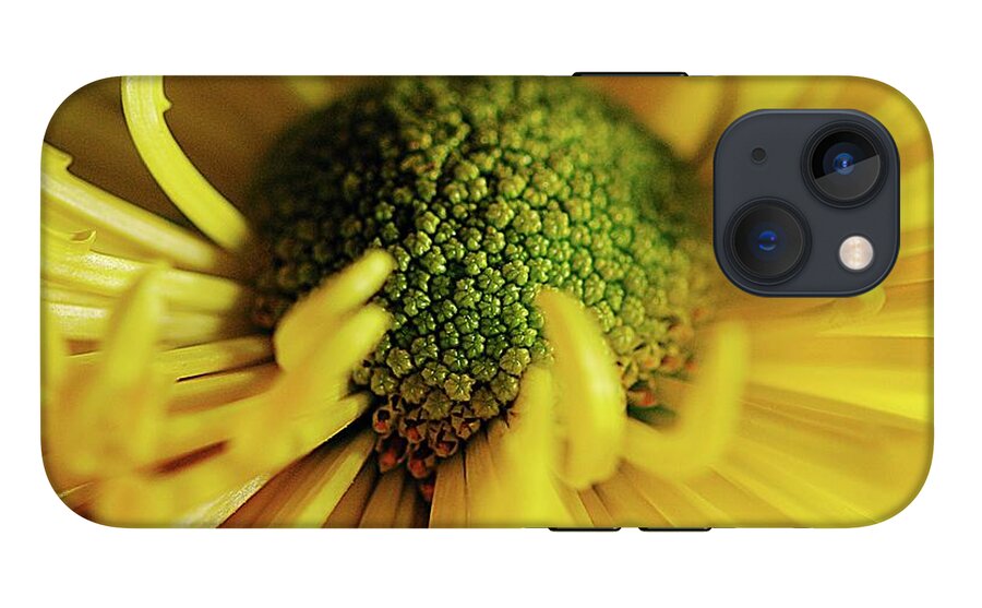 Yellow Spider Mum - Phone Case